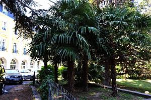 1 VERNET LES BAINS - PYRENEES ORIENTALES - HOTEL DU PORTUGAL(16)